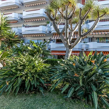 Charming Puerto Cruz, Terrace & Pool Access Apartament *